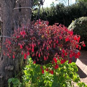 Meet your Posher, Cecilia